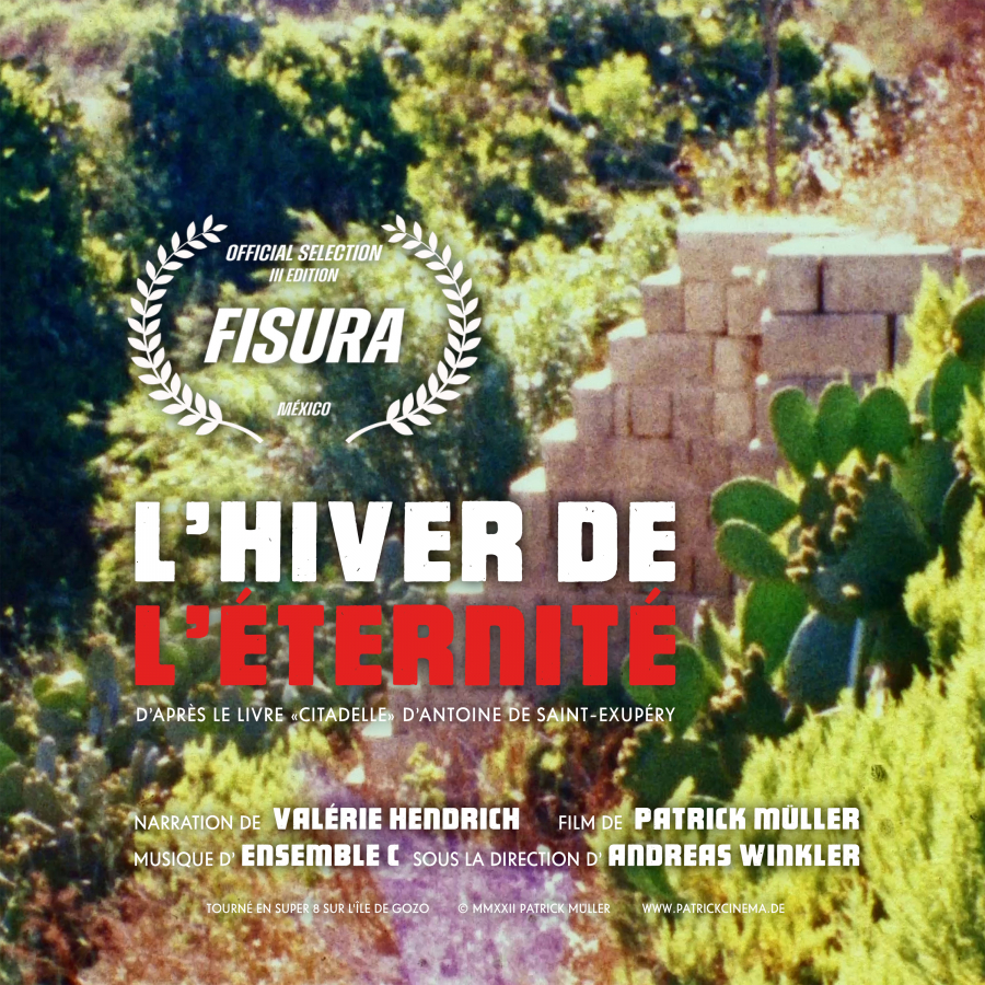 https://www.patrickcinema.de:443/files/gimgs/th-253_Fisura instagram.jpg